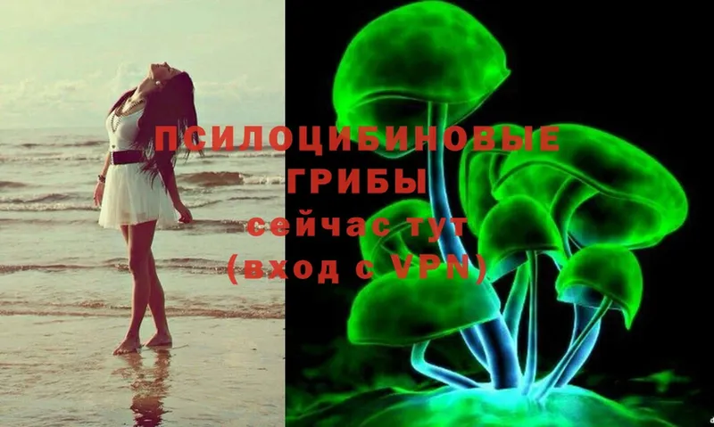 Галлюциногенные грибы Magic Shrooms  shop клад  Буйнакск 